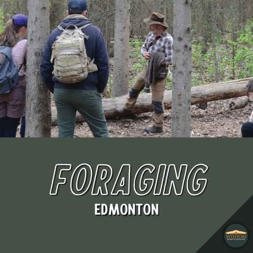 Foraging Walk - Edmonton K